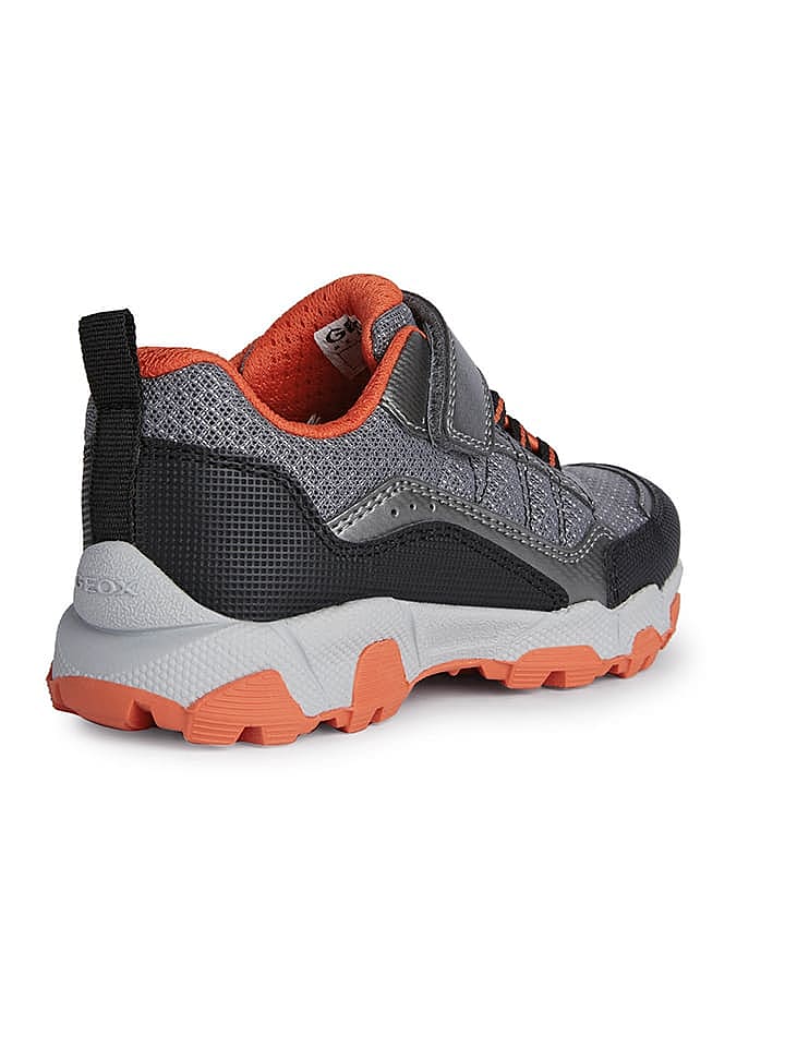 Geox Sneakers 