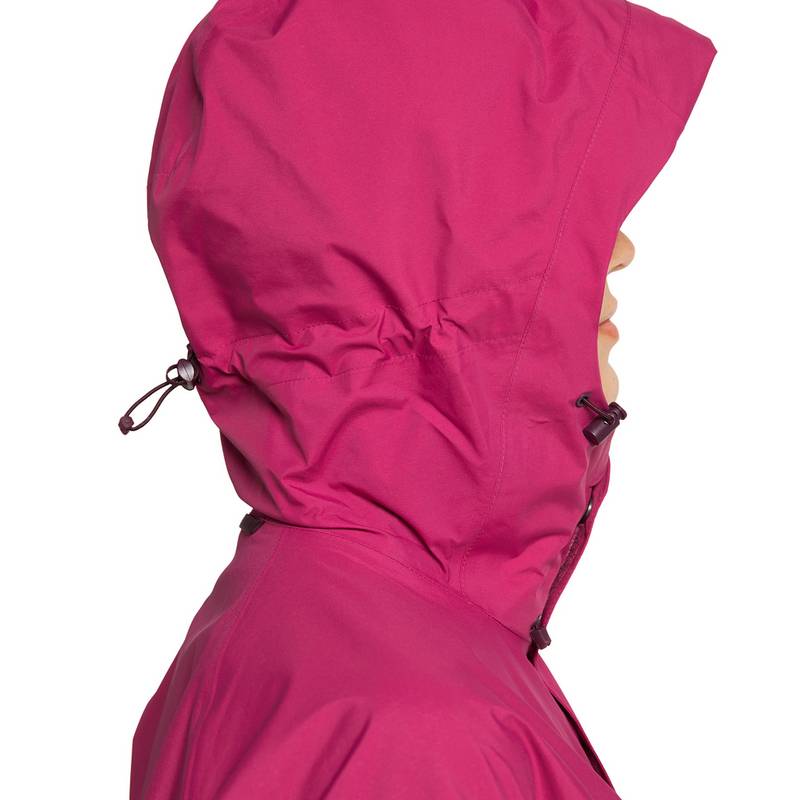 Haglöfs Astral GTX Jacket Hardshelljacke Damen