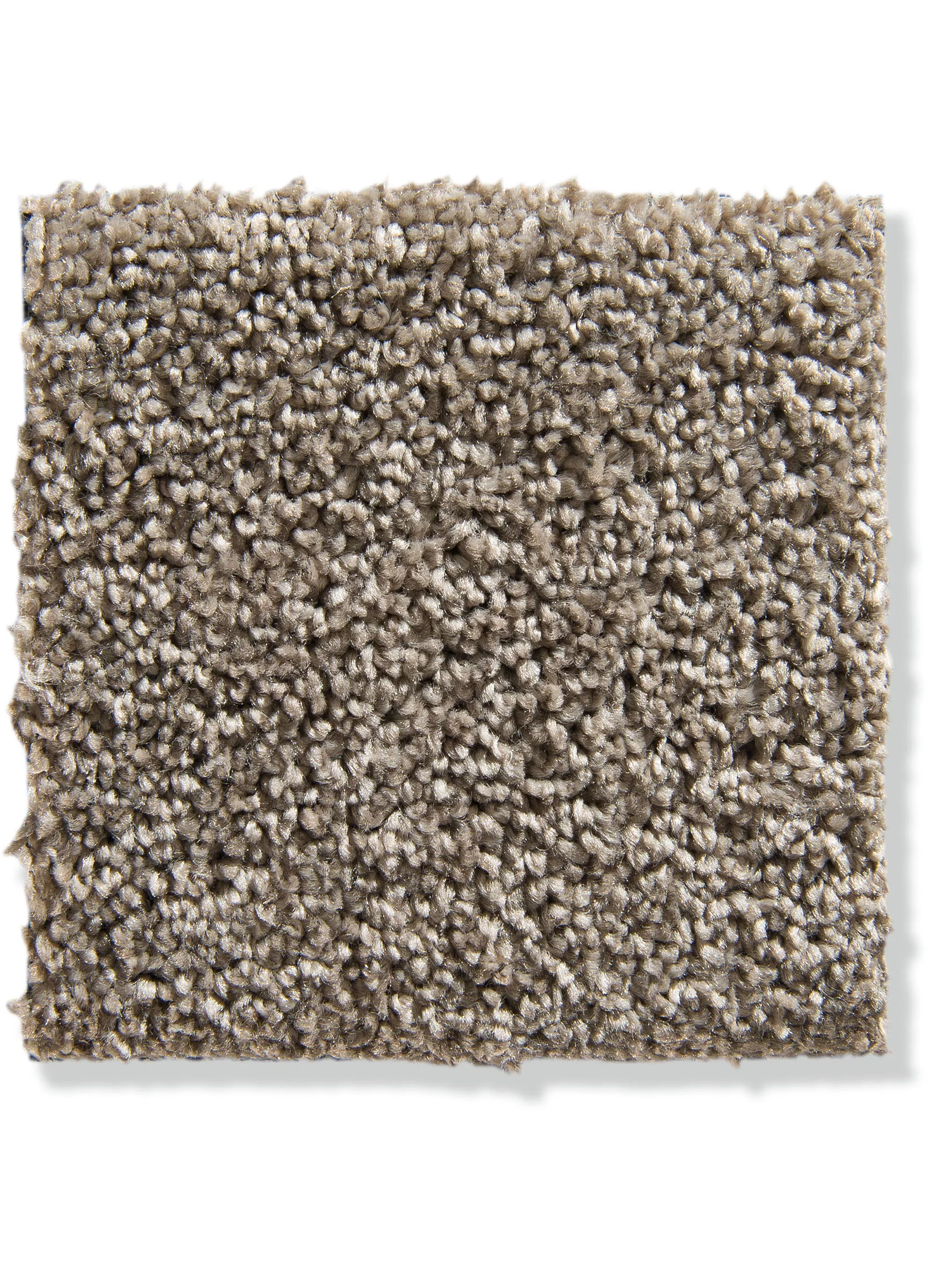 Praia Velours-Teppichboden, Ziegel 35
