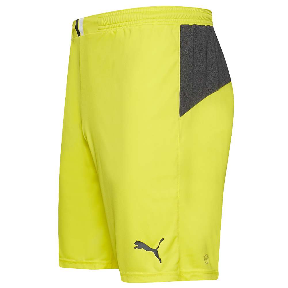 PUMA King Herren Shorts 701701-37