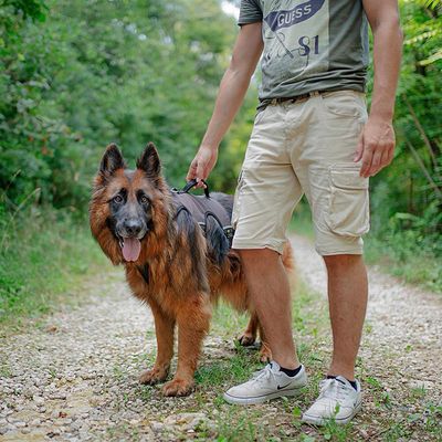 Ferplast Ergotrekking Geschirr, braun