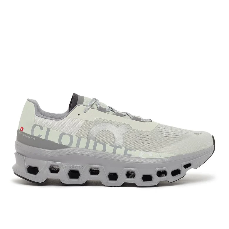 ON Cloudmonster ice/alloy
