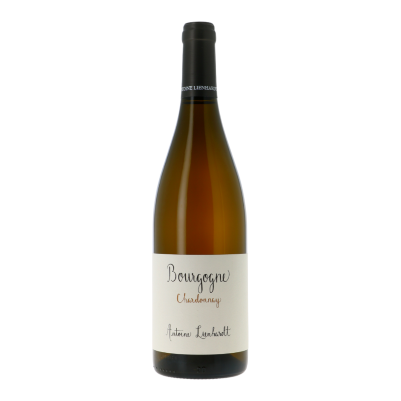 Bourgogne Chardonnay 2020 - Bourgogne Aoc - Bourgogne - Antoine Lienhardt (75CL.)