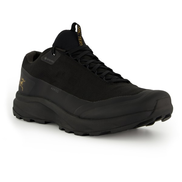 Arc'teryx - Aerios FL 2 GTX - Multisportschuhe