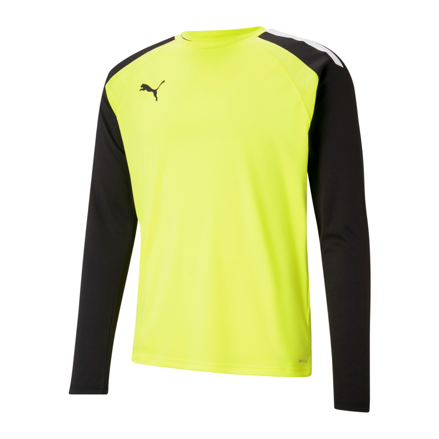 PUMA teamPACER Torwarttrikot langarm Kids F42