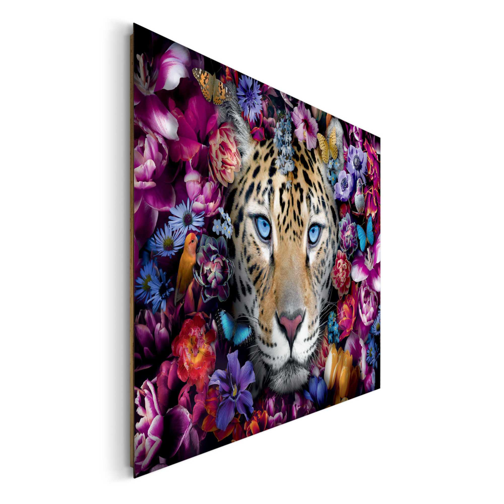 Bild Flower Cat