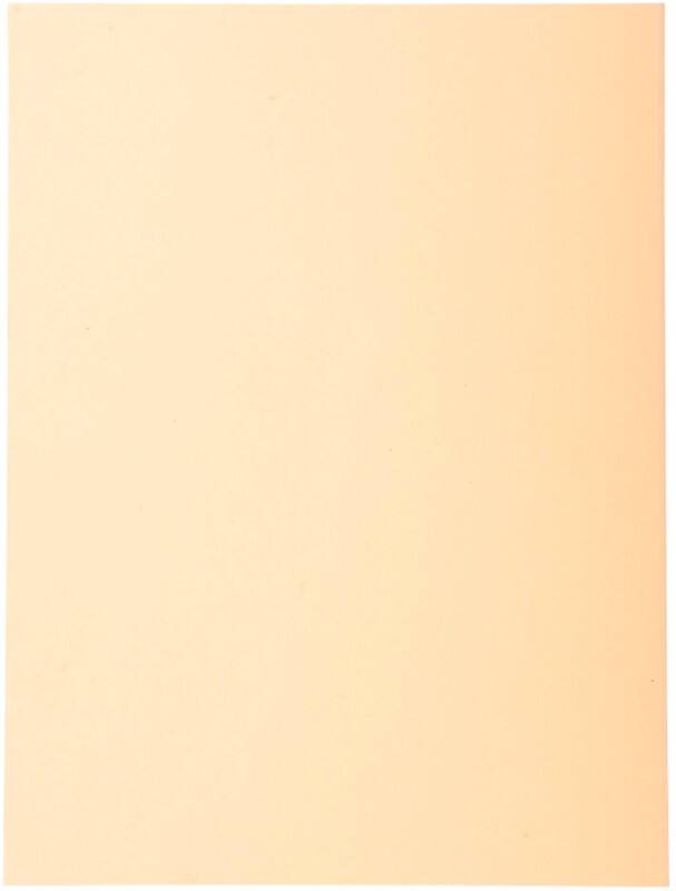 Exacompta Forever Ordnungsmappe DIN A4 Cremefarben Manila Recycelt 100% 170 g/m² 100 Stück