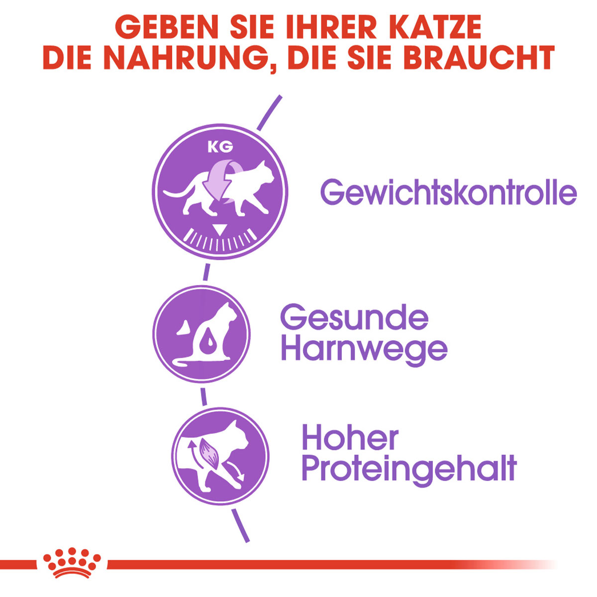 ROYAL CANIN STERILISED Trockenfutter 2kg + STERILISED Mousse 12x85g