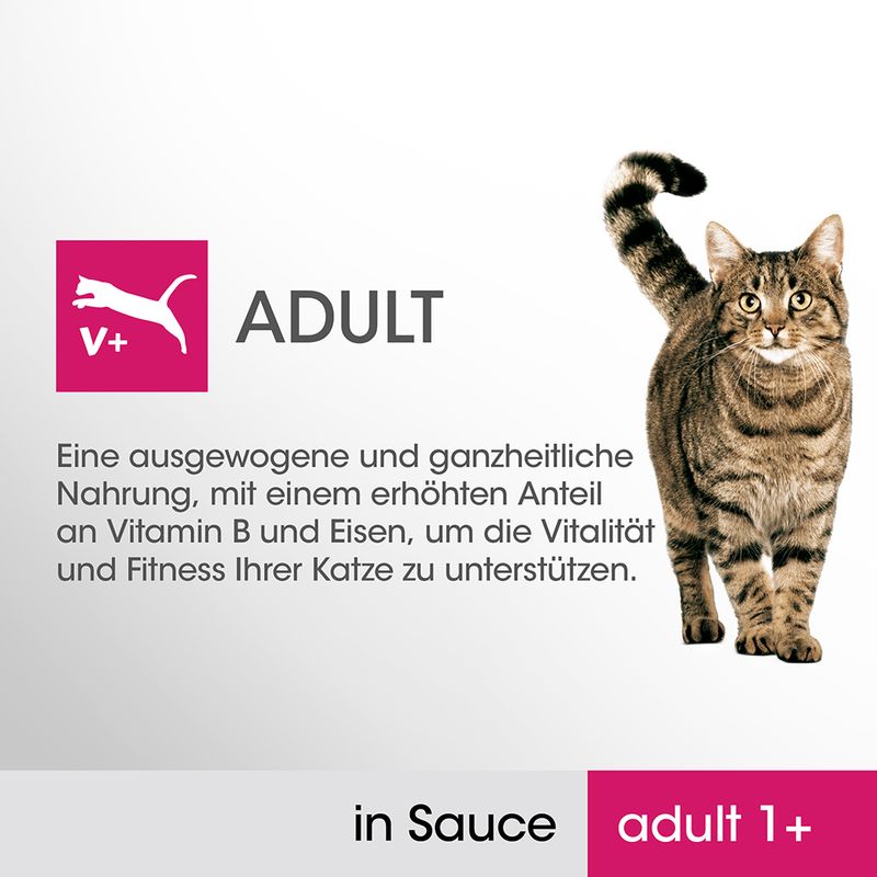 Perfect Fit Adult 1+ Mix zu TOP-Preisen