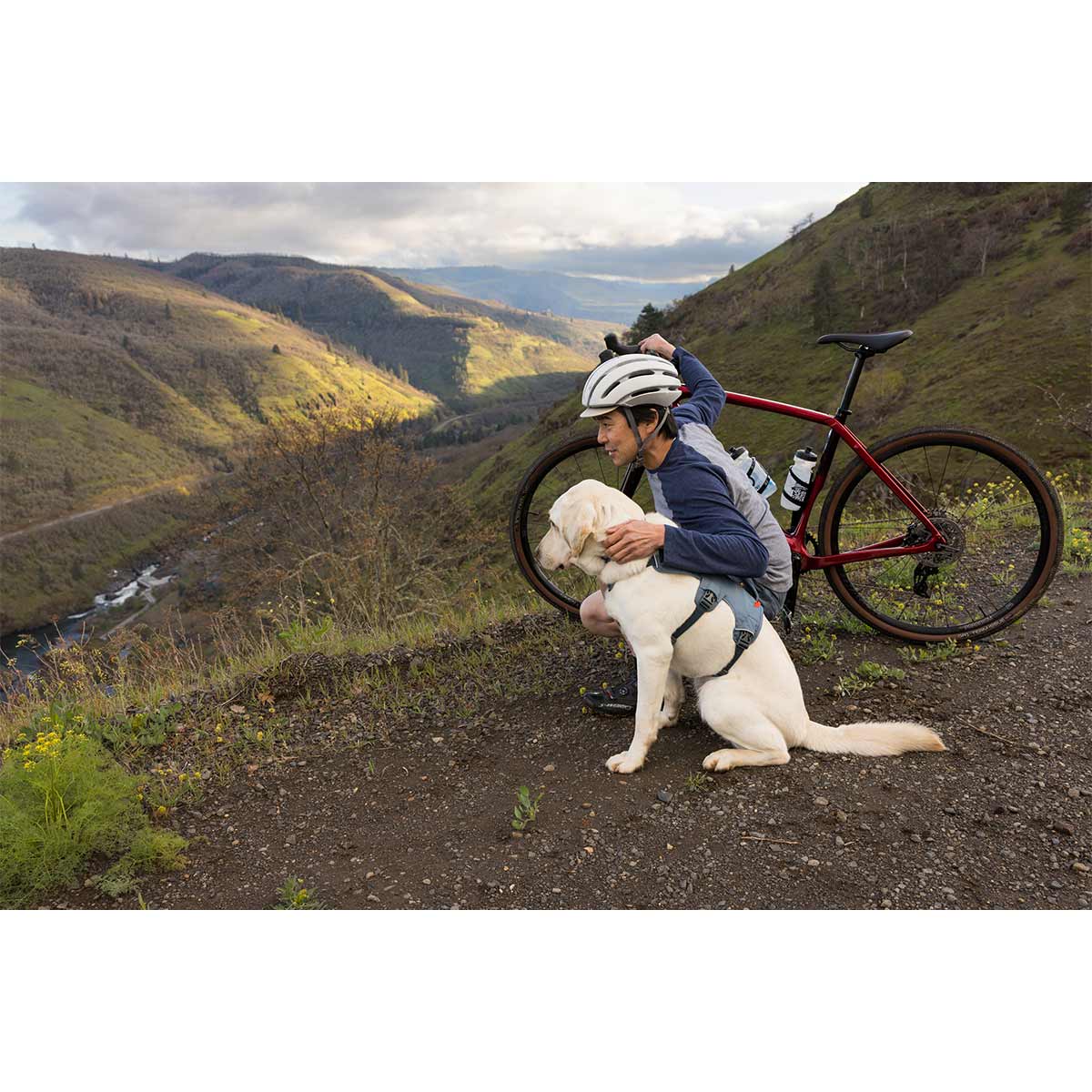Ruffwear Geschirr Web Master Slate Blue kaufen bei ZooRoyal