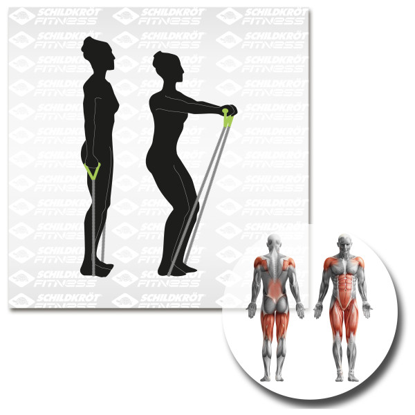 Schildkröt Fitness - Expander Set Pro - Expander