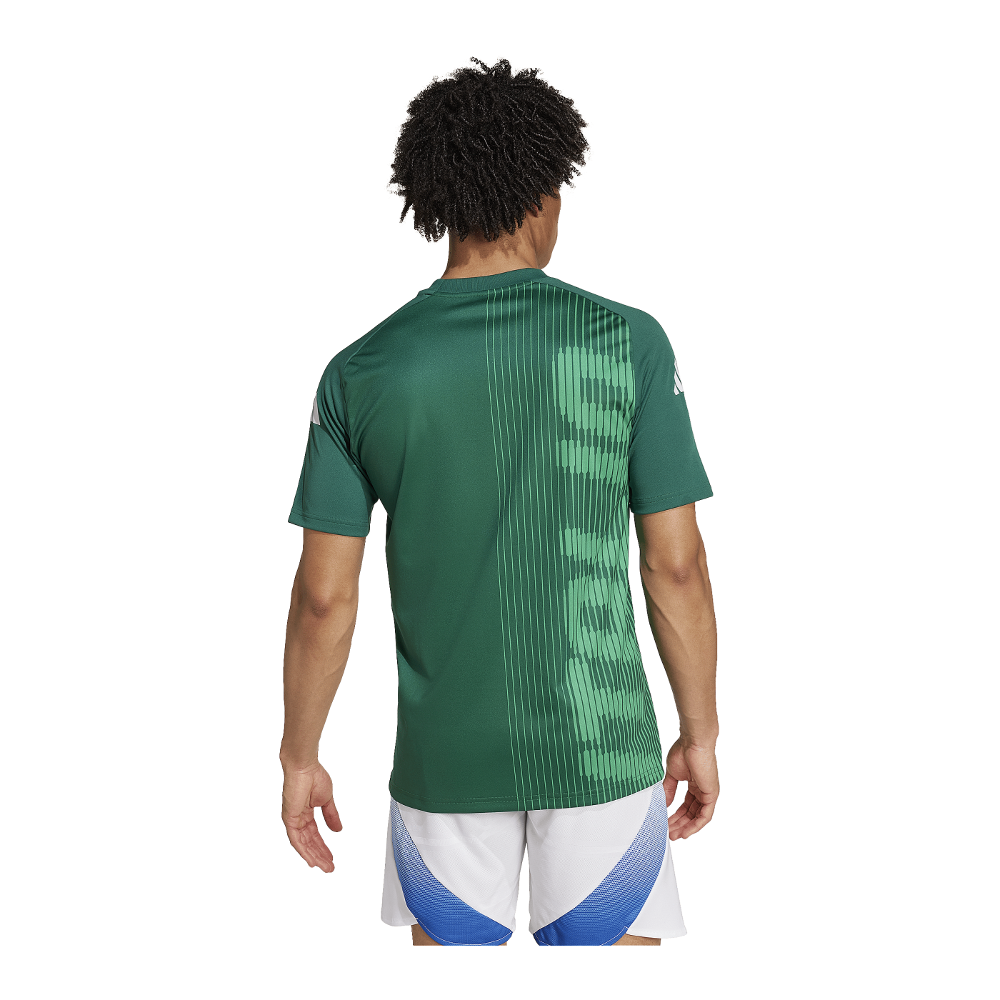 adidas Italien Prematch Shirt Grün