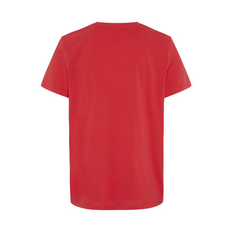 Chiemsee T-Shirt T-Shirt Herren