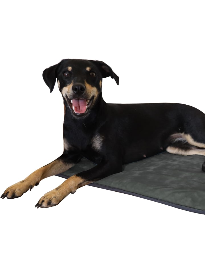 Aspero Hundedecke Lund in Anthrazit günstig kaufen