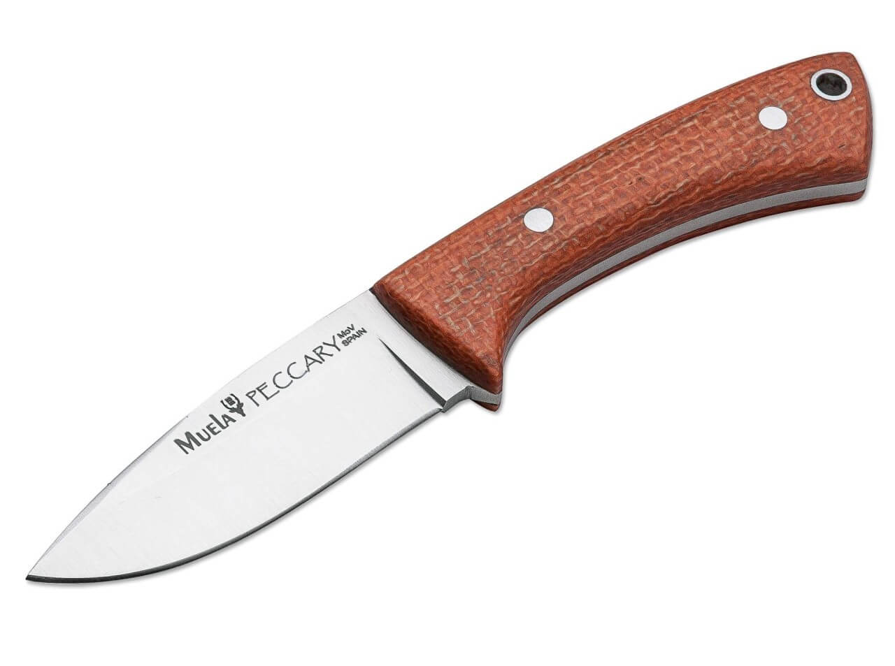 Peccary Orange