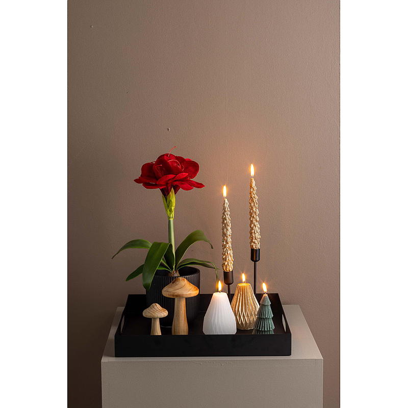 Home Dekorsopp s/2 15/10 cm tre