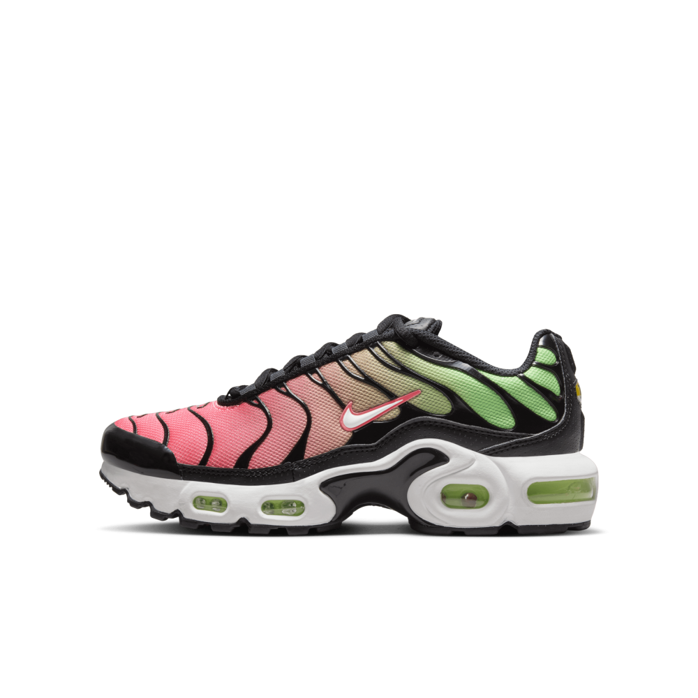 Nike Air Max Plus CD0609-010 / bunt