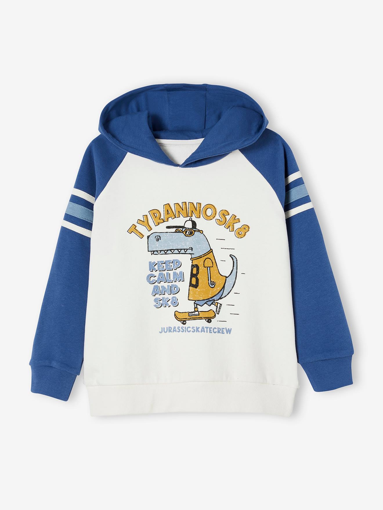 Sweat à capuche animations graphique garçon manches raglan bleu