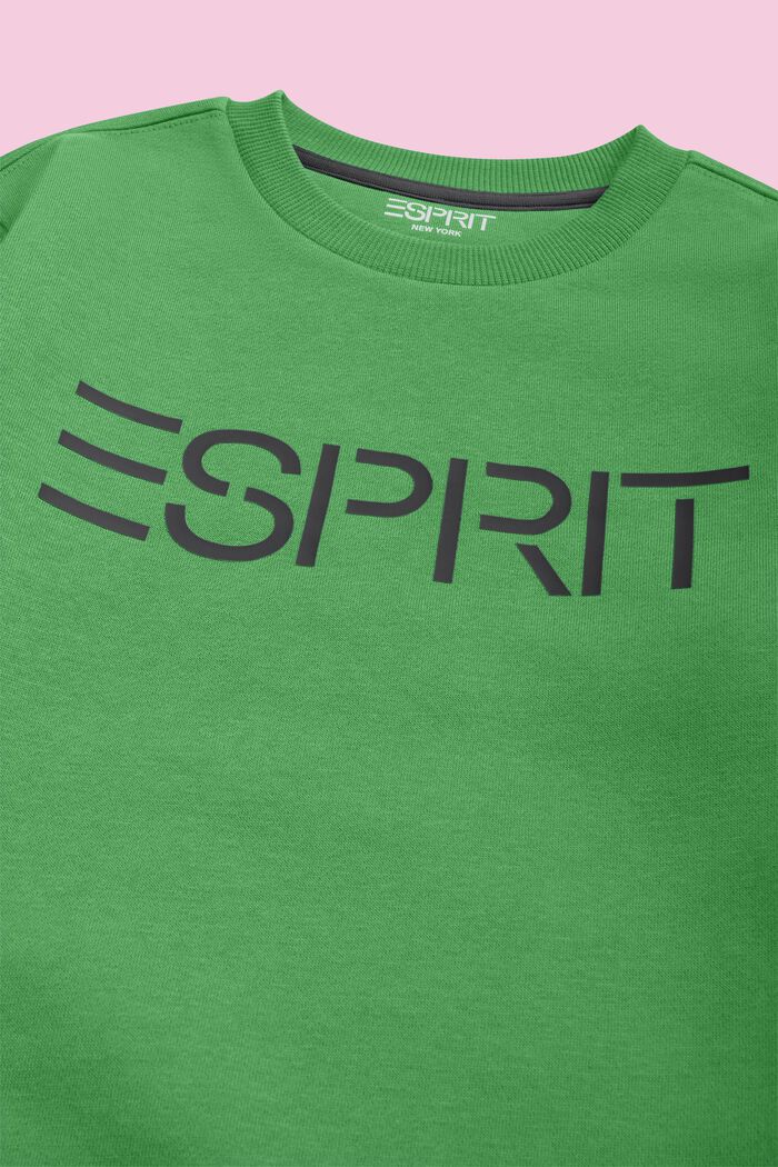 Logo-Sweatshirt mit Rundhalsausschnitt