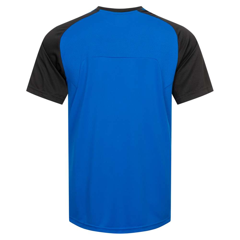 PUMA Ascension Herren Trainings Trikot 654917-02