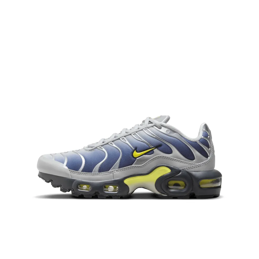 Nike Air Max HF0030-001 / grau