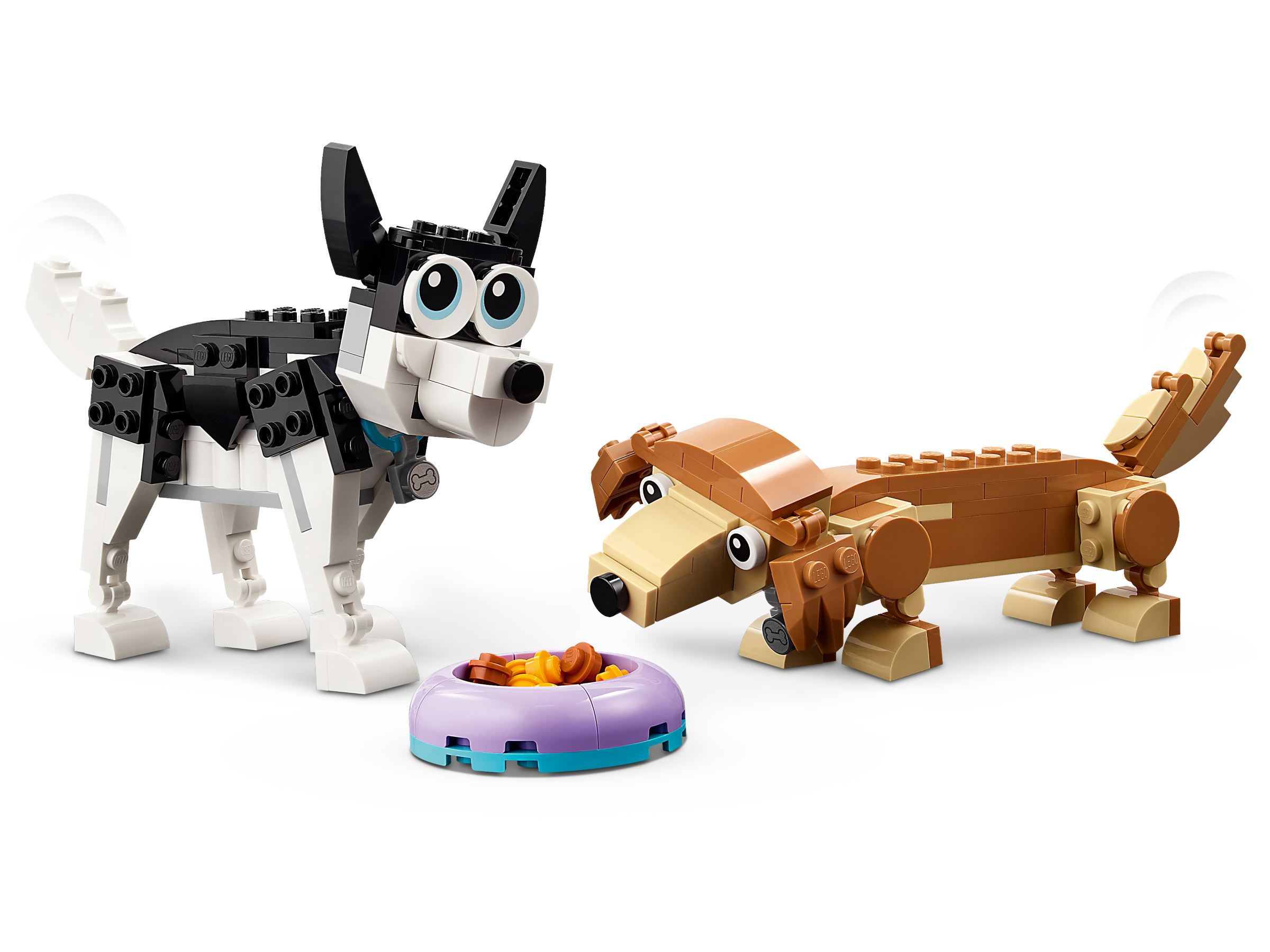 Niedliche Hunde 31137