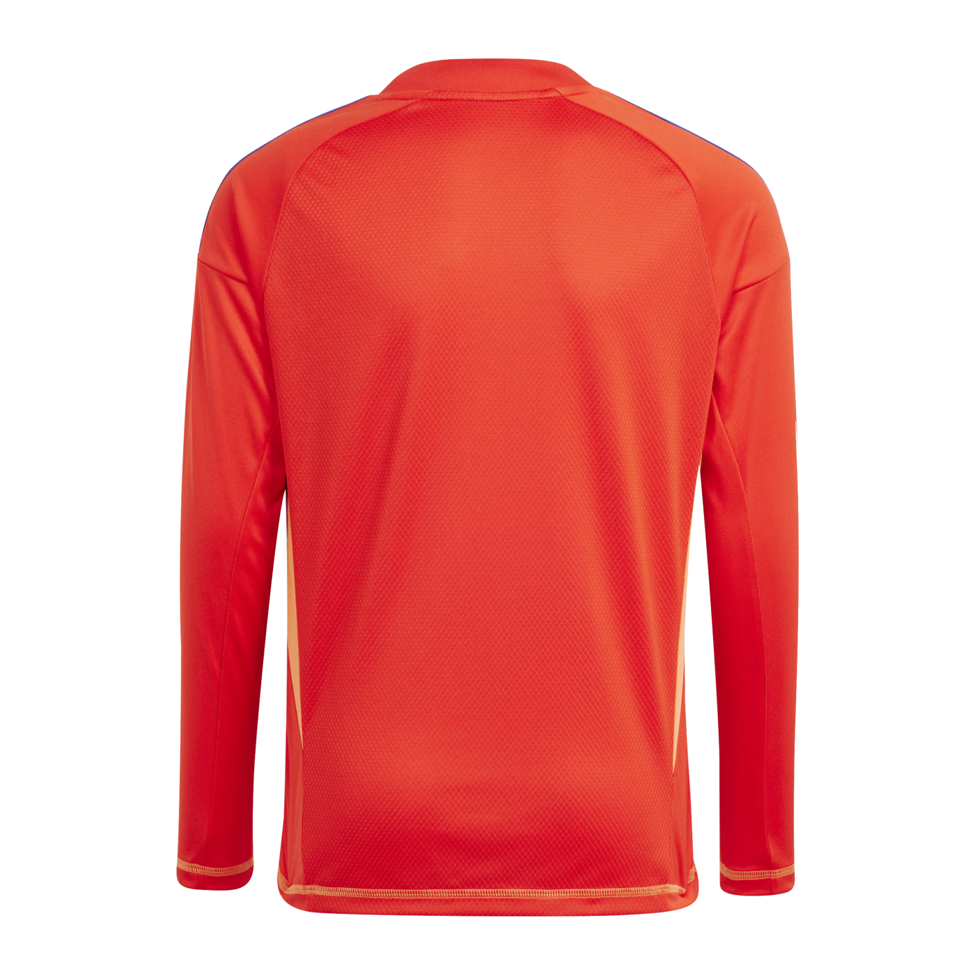 adidas Tiro 24 Competition Torwarttrikot Langarm