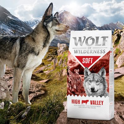 Wolf of Wilderness 