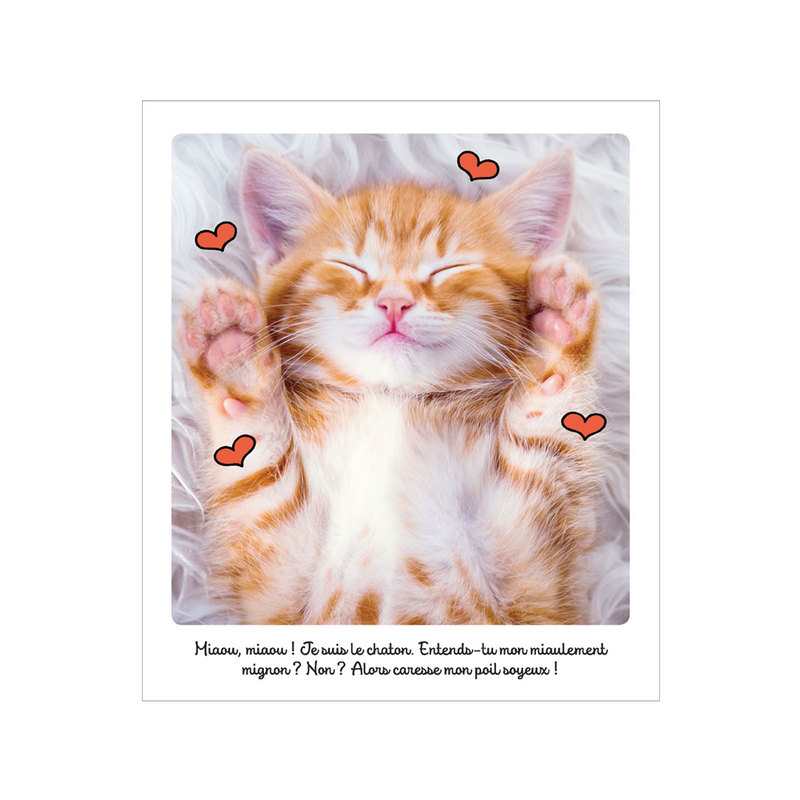 Livre Les Bébés animaux - Larousse Jeunesse