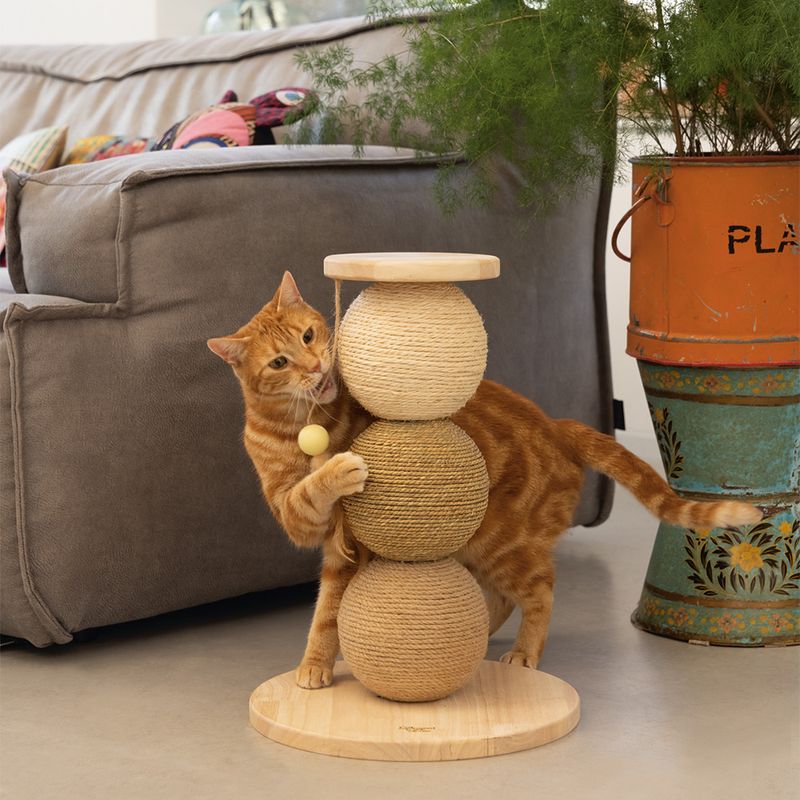 Designed by Lotte Kratzball Elio für Katzen