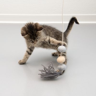 Katzenangel Flauschi