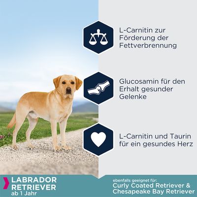 Eukanuba Adult Breed Specific Labrador Retriever