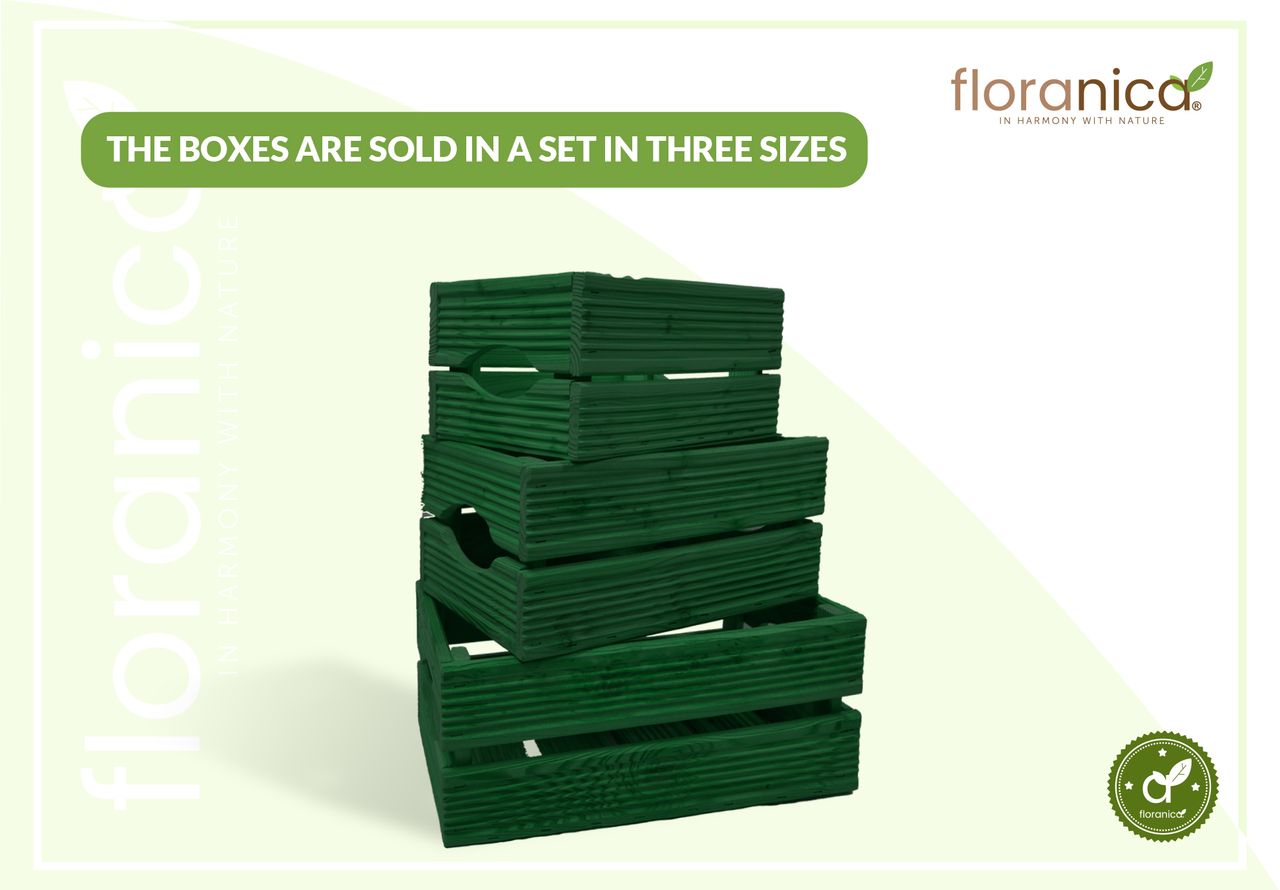 Pemicont Floranica Holzkiste Lärche Grün 3er Set Gartendeko Aufbewahrungsboxen Obstkisten Blumentopf Holz Kiste Spielzeugkiste