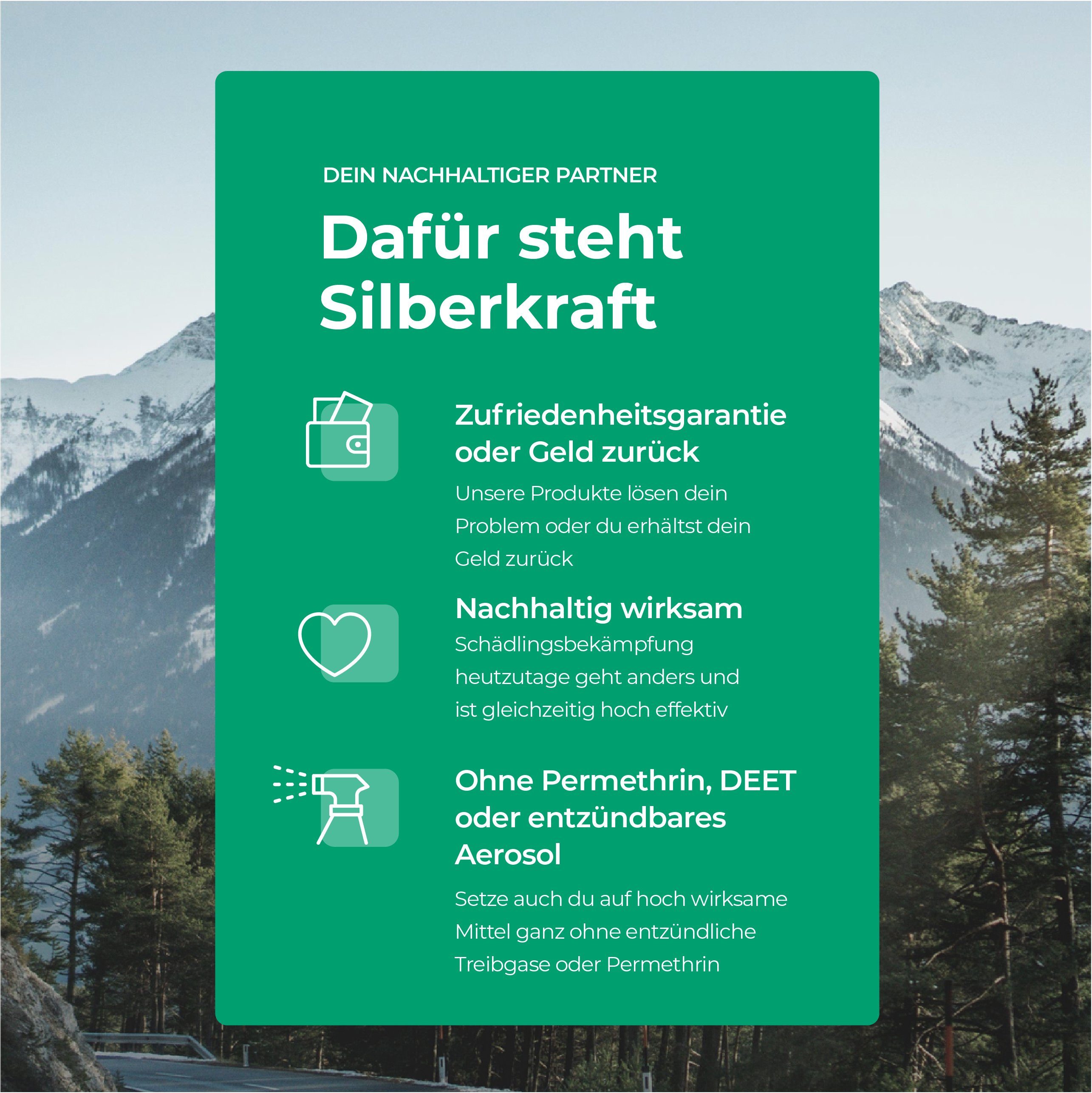 Silberkraft Insektenspray Silberfischspray - Silberfische / Papierfische bekämpfen, 500 ml, 1-St.