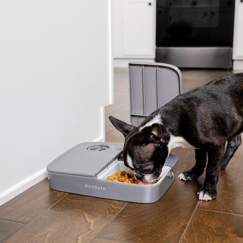 PetSafe Futterautomat für 2 Mahlzeiten zu TOP-Preisen | bitiba %