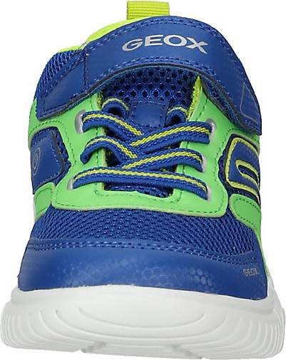 Geox Sneaker