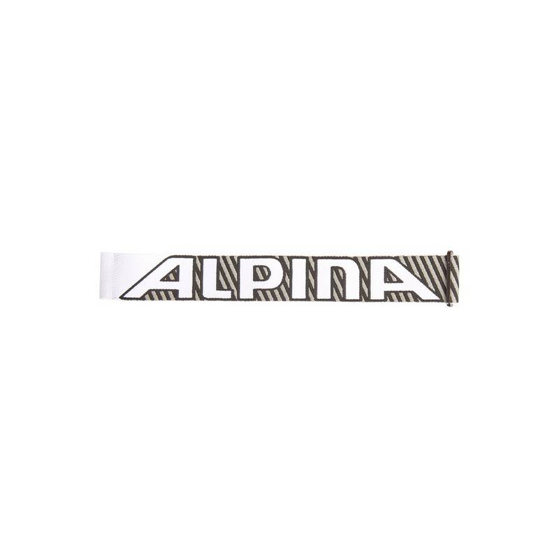ALPINA FREESPIRIT DH Skibrille