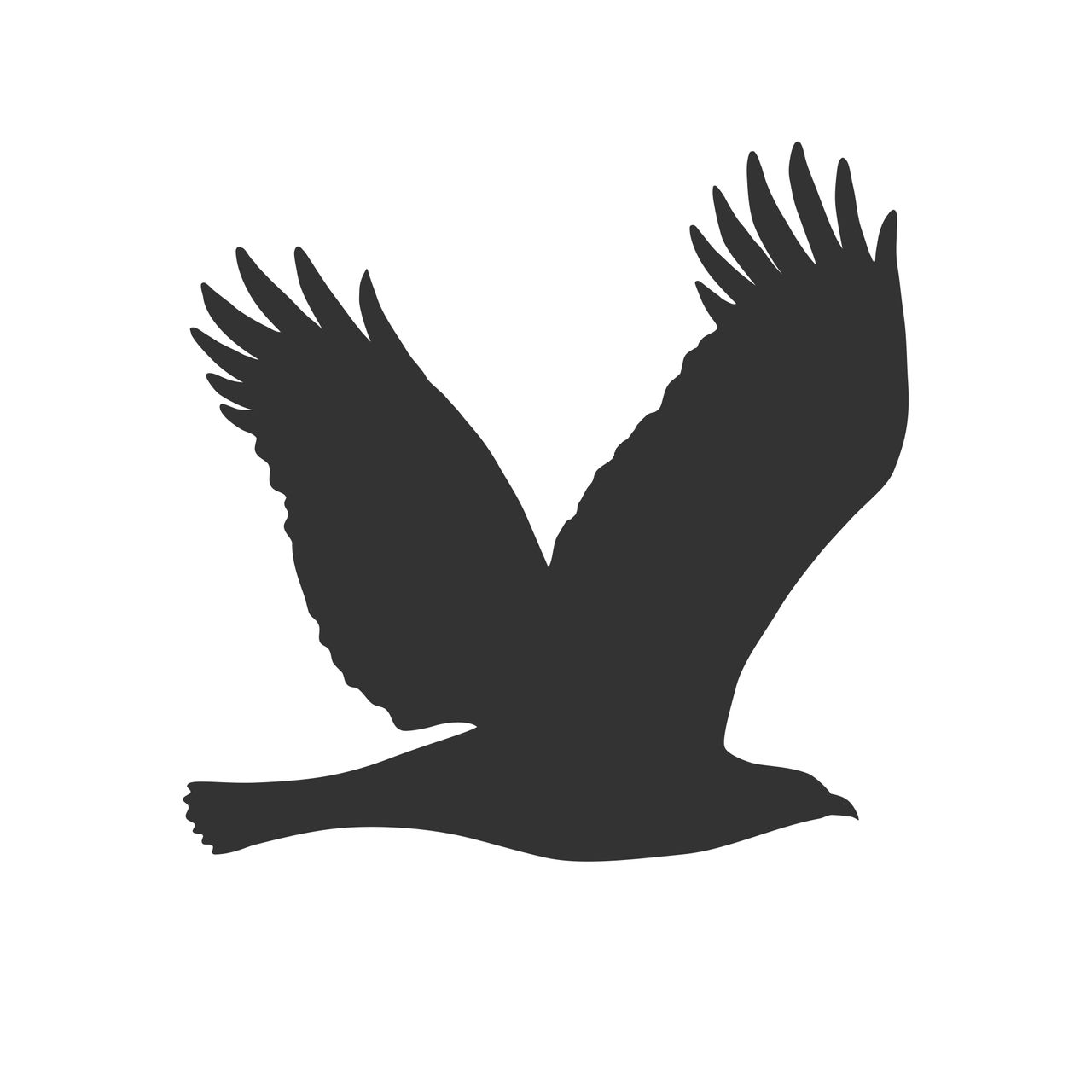 Keilbach Designprodukte Keilbach Vogelschutz, 46 x 45 cm, Hochleistungsfolie, anthrazit-metallic