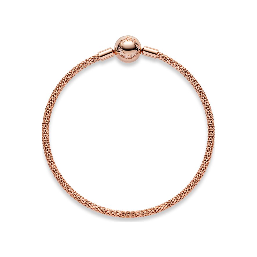 Pandora Armband Moments