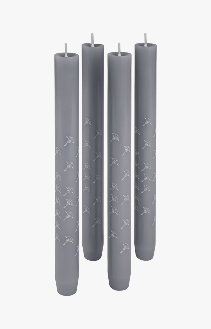 JOOP! FADED CORNFLOWER Stabkerze in Schiefer, 4er Set - im JOOP!