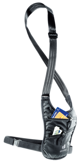 Security Holster
