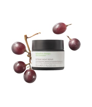 Spilanthox therapy Extreme Night Repair Nachtcreme-50 ml