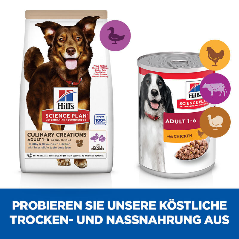 Hill's Hundetrockenfutter Hill's SCIENCE PLAN Culinary Creations Adult mit Ente und Kartoffeln 2x14 kg