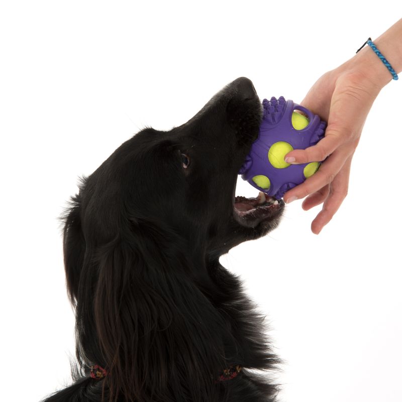 Hundespielzeug Gummi-Tennis-Ball 2in1 zu TOP-Preisen | bitiba %