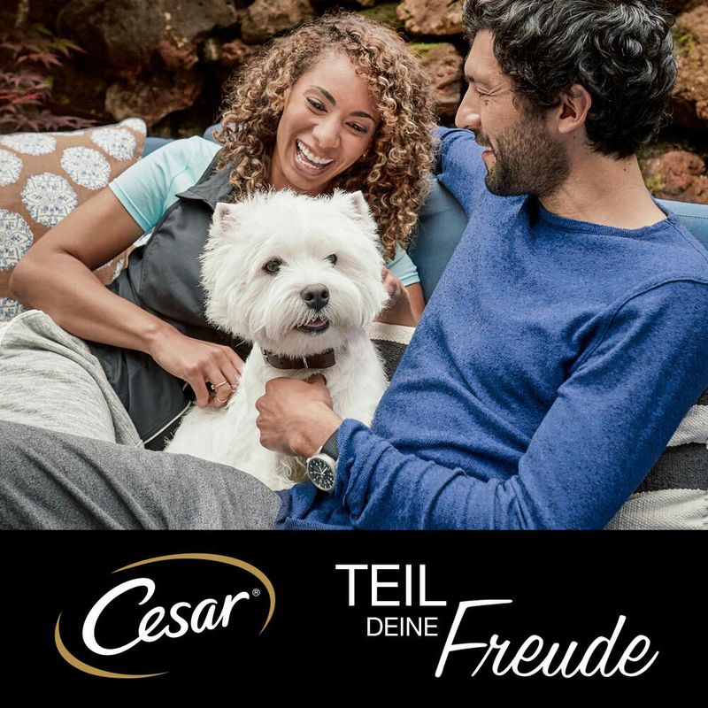 Cesar Classic Selection