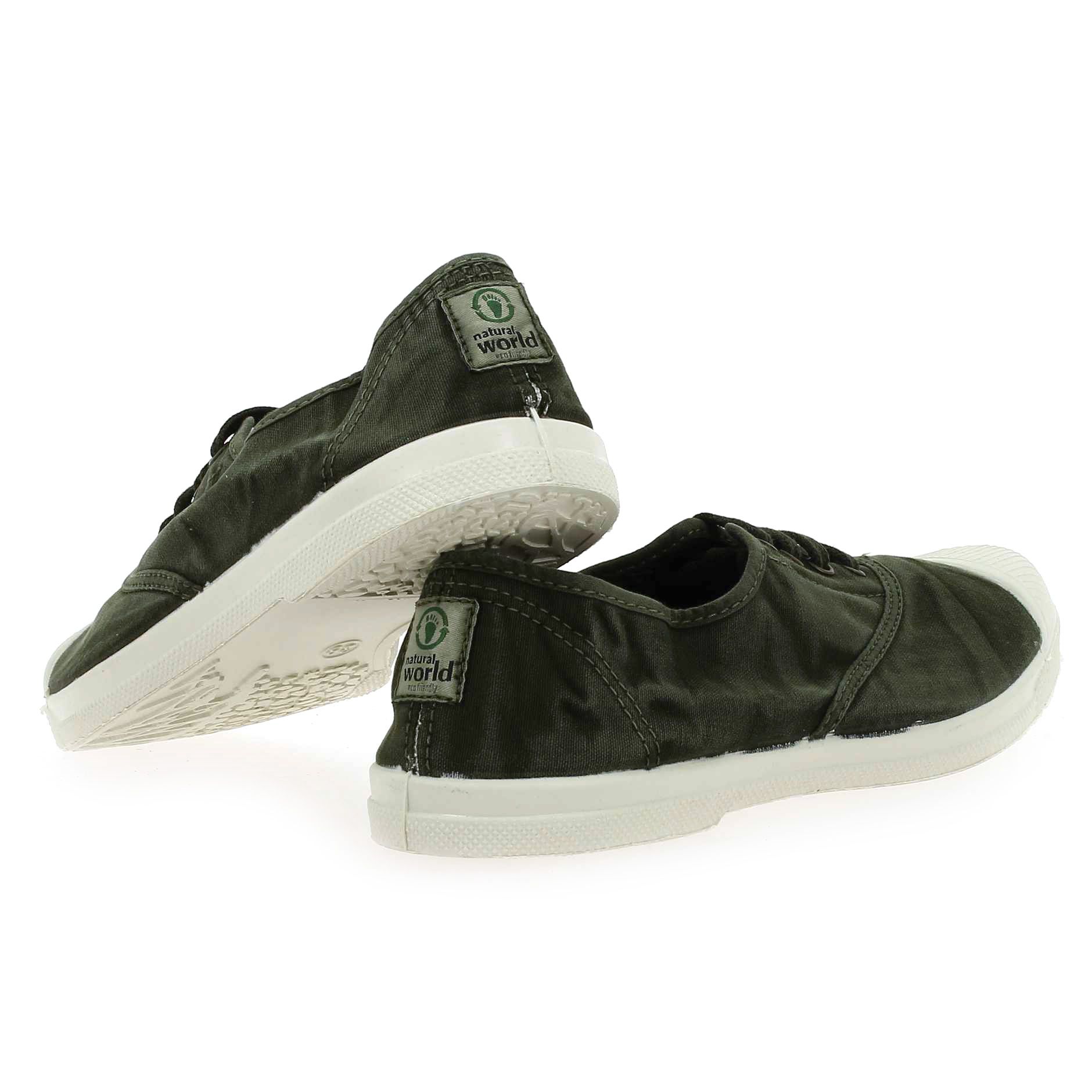 Natural world  102 E - Kaki