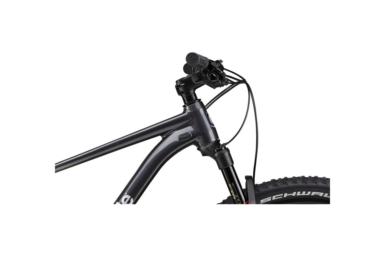 Cannondale Trail SL 1 - 2021 - 29 Zoll - Diamant