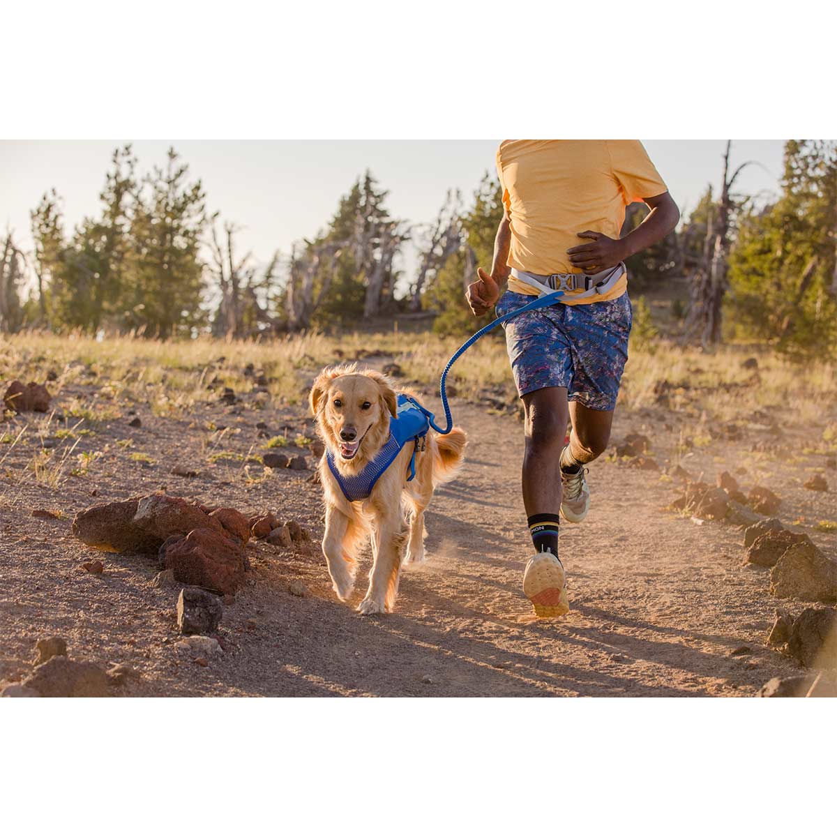Ruffwear Trail Runner Leine günstig kaufen bei ZooRoyal