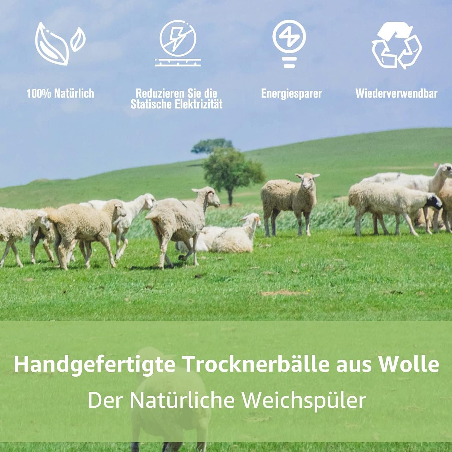 ASLENY Wäschenetz 5 Stück Wäschenetz für Waschmaschine, Wäschebeutel mit Reißverschluss,(5-St), für BH, Reise, Schuhe, Koffer, Socken, Unterwäsche, Babykleidung