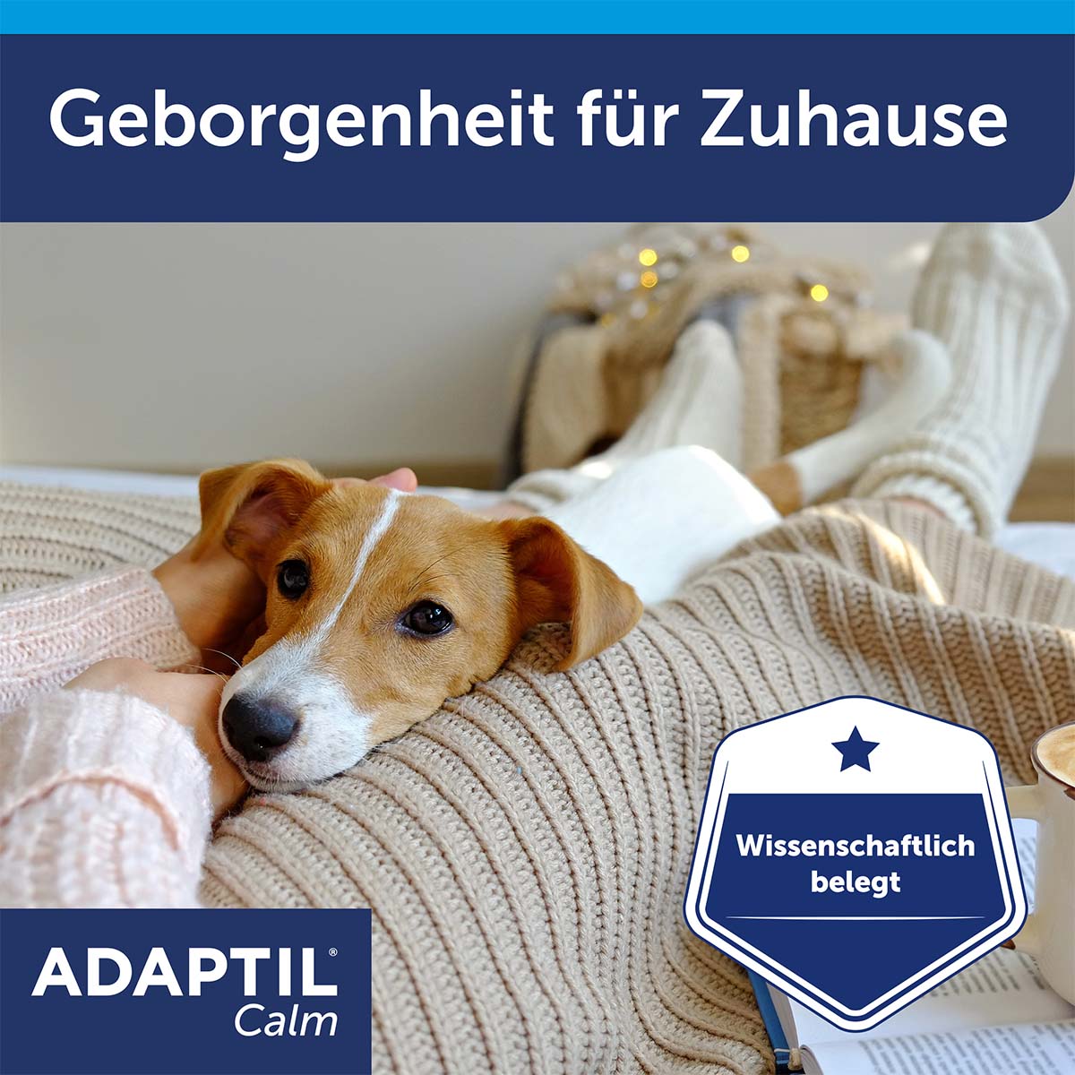 Adaptil Verdampfer Happy Home Start-Set 48ml kaufen bei ZooRoyal